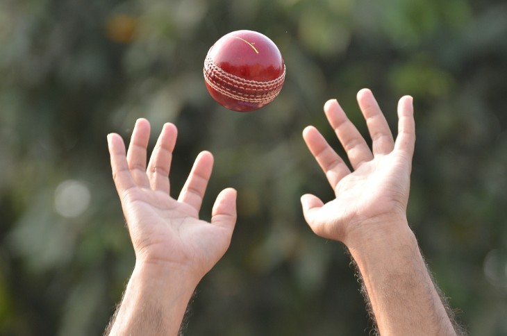 Balance and Footwork: The Dance of Cricket