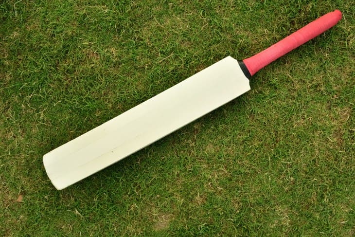 Decoding the Grades of Cricket Bat Willow