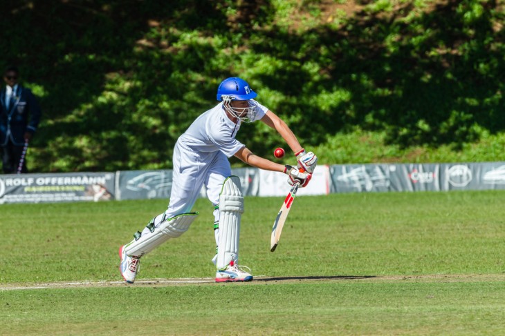 Discovering Local Parks with Cricket Pitches