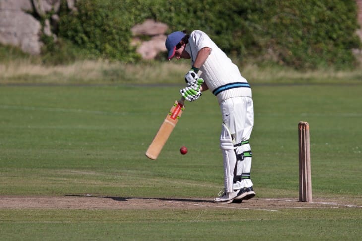 Evolution of Cutter in Cricket