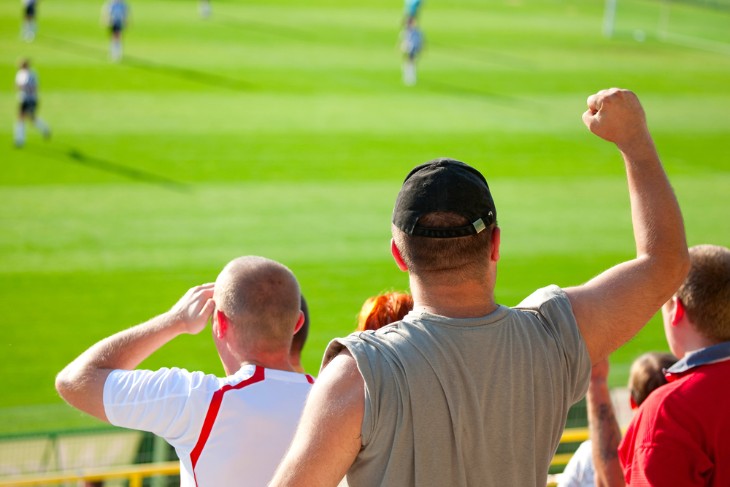 Fan Cultures and Traditions in English Cricket