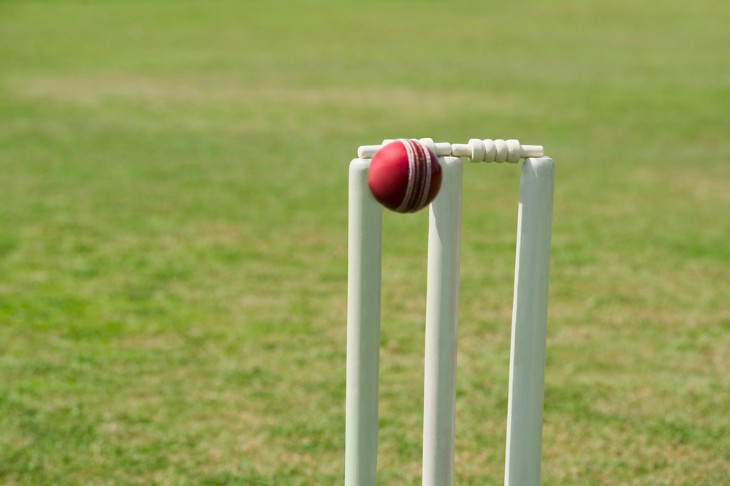 How Long is a Cricket Wicket?