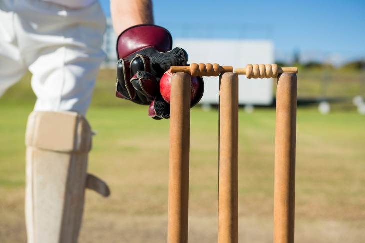 Importance of Stumps in Cricket