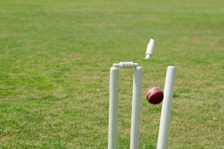 Overview of the Dimensions of a Cricket Wicket