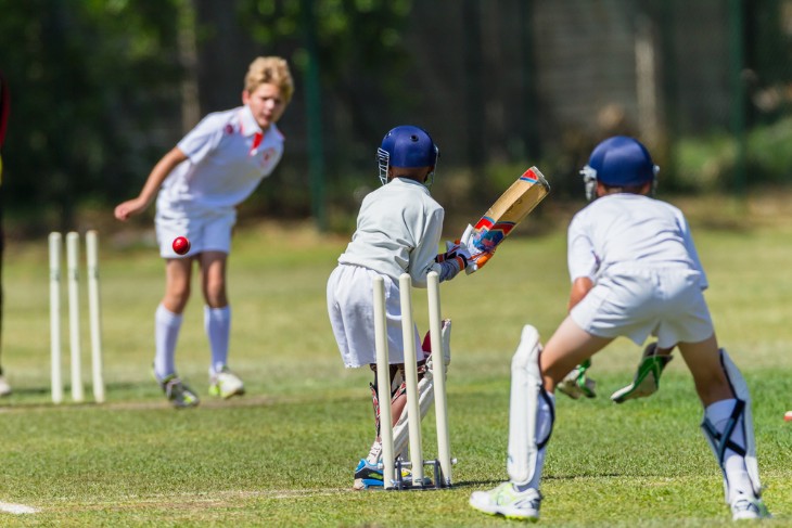 Pathway to Professional Cricket