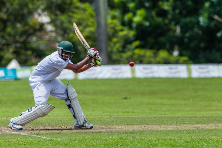 The Role of Physiotherapy in Cricket