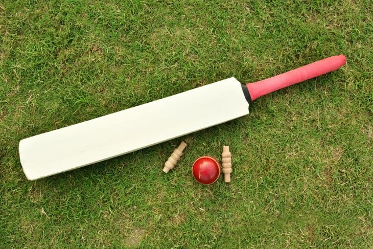 What are Cricket Bats Made Of?