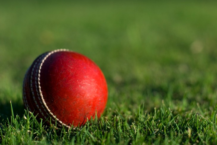 What is a Cricket Ball Made Of?