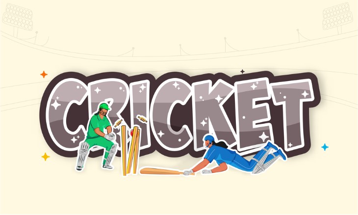 What is Franchise Cricket?