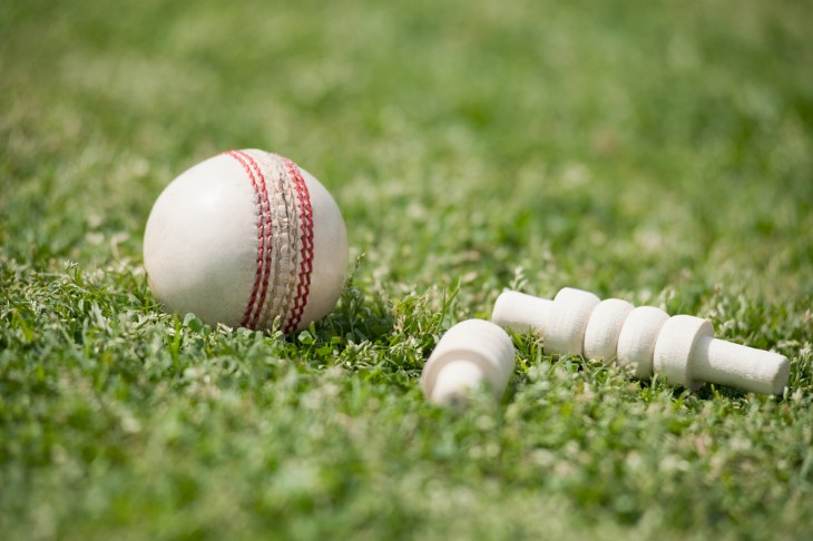 What is White Ball Cricket?